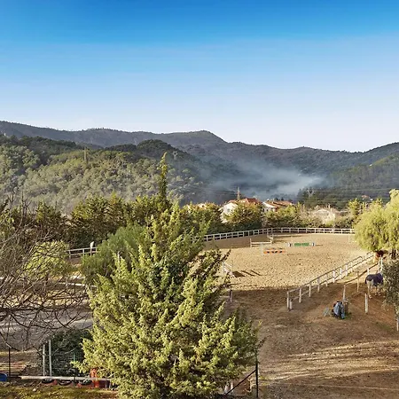 Virginia La Scuderia